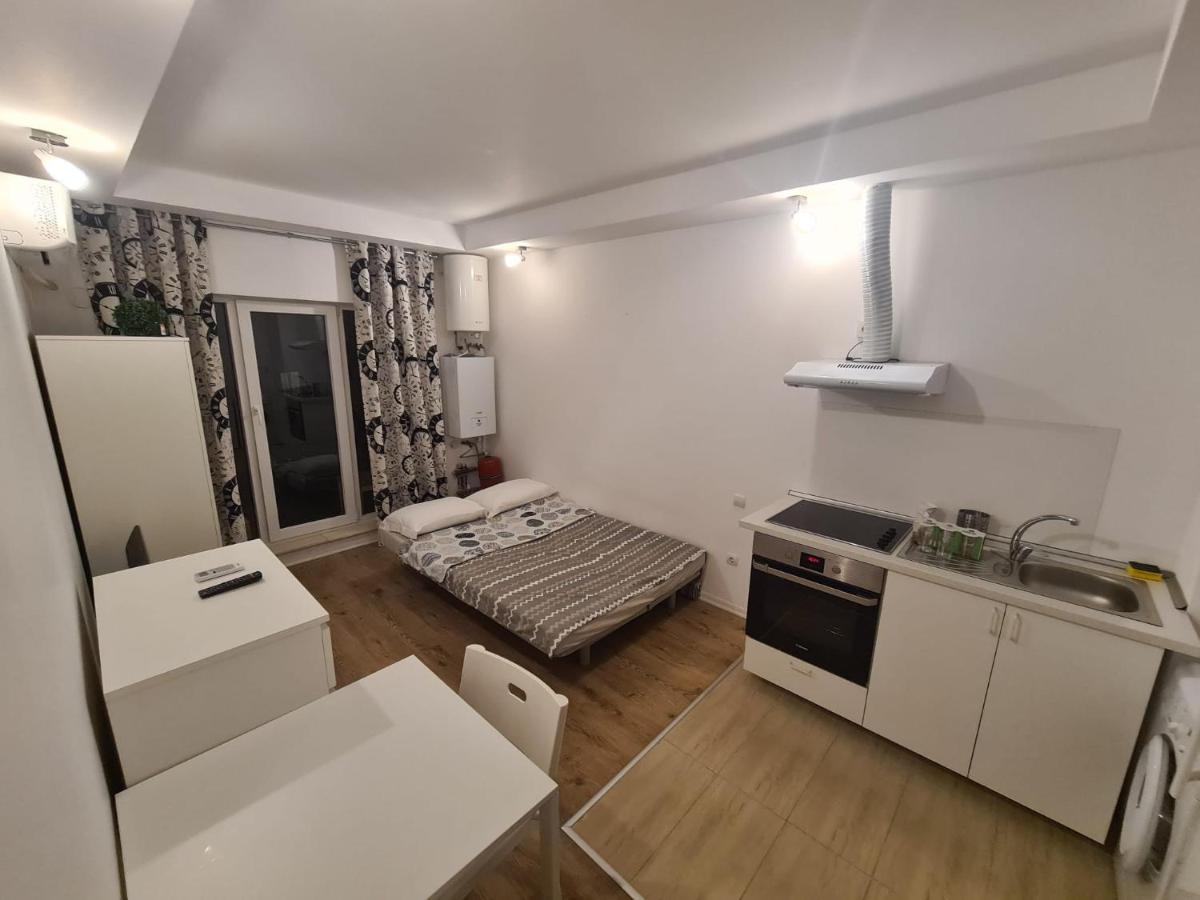 Cosmopolis Studio 1 Stefanestii de Jos 외부 사진